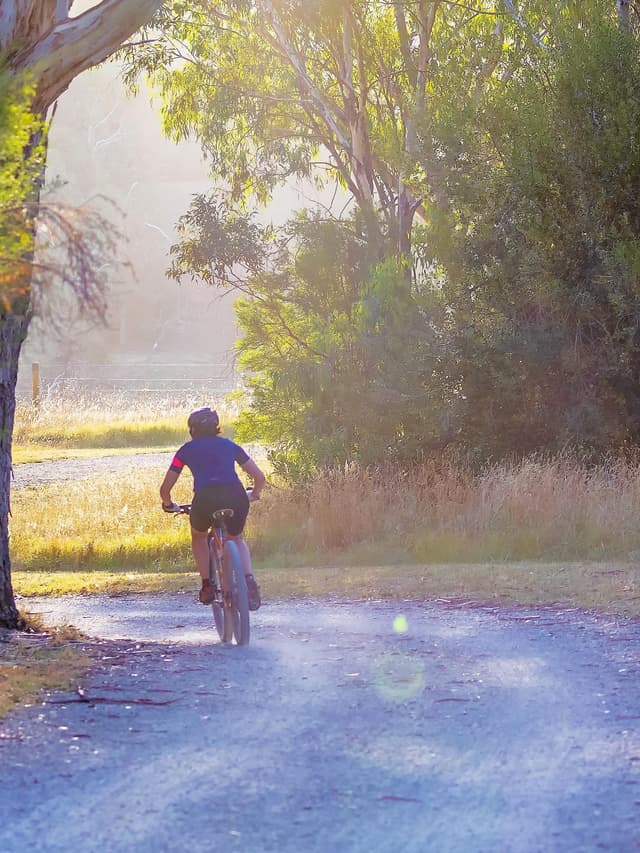 I can help you cut through the clutter to see your whole picture.