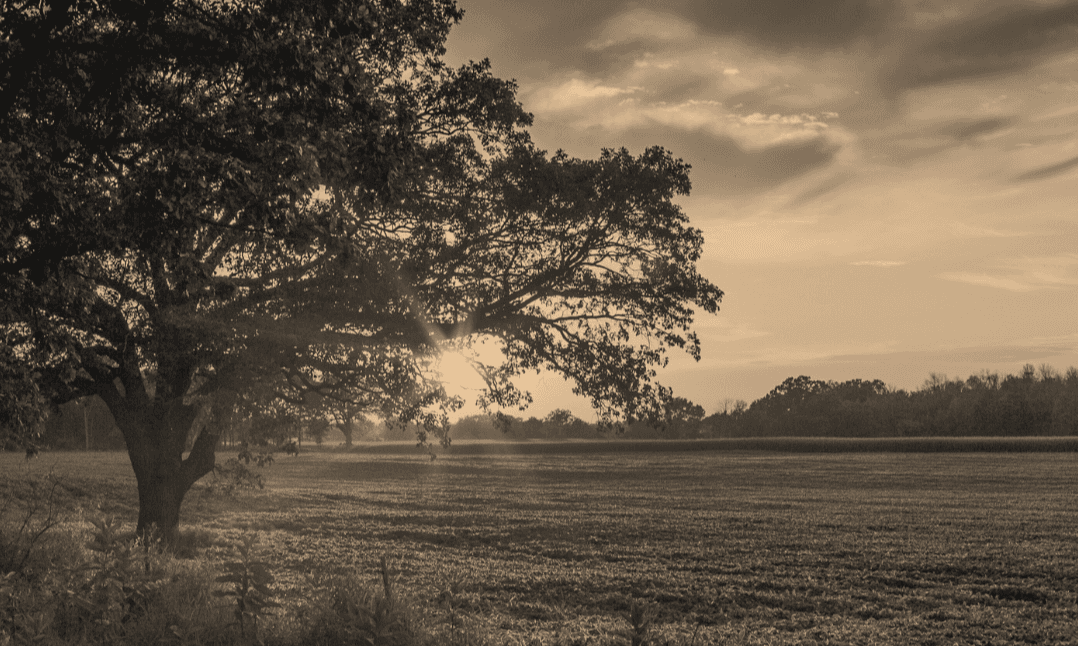 Focus Financial Group mission banner image