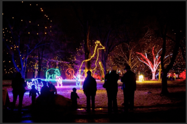 Denver Zoo Lights image