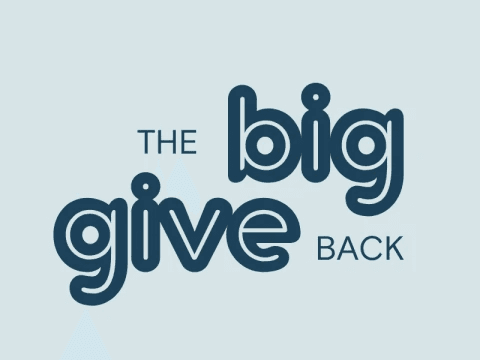 The Big Give Back image