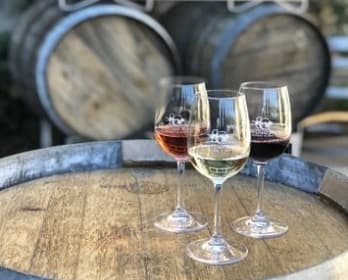 Taste & Tour Member Appreciation Event image