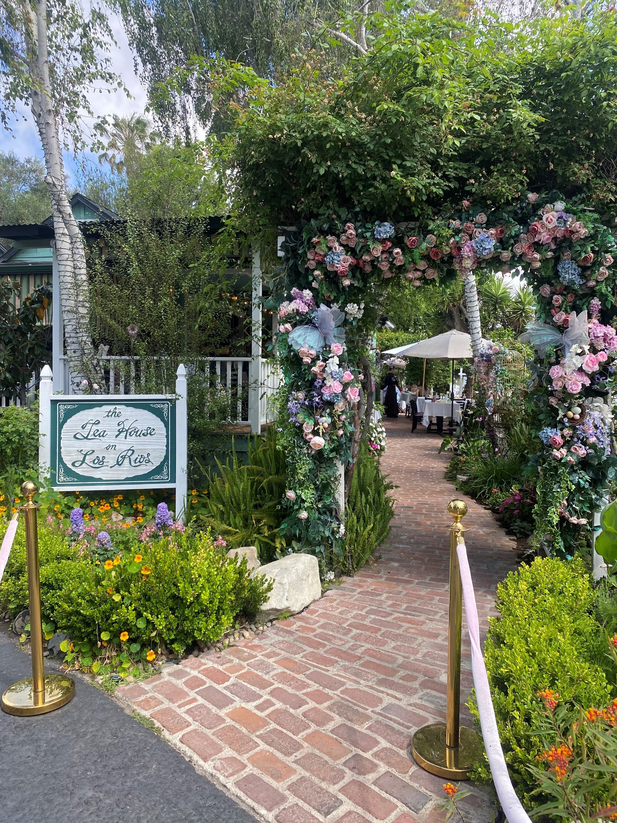 Insight image
