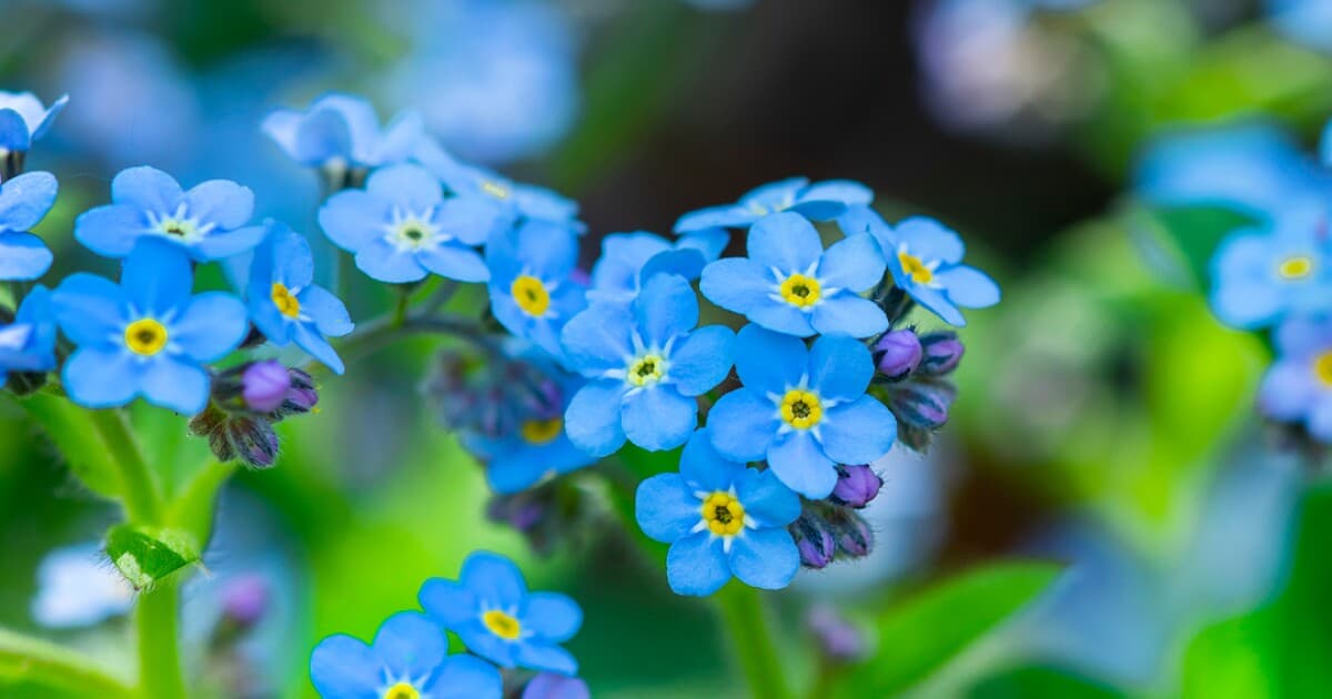 2025 Membership Calendar