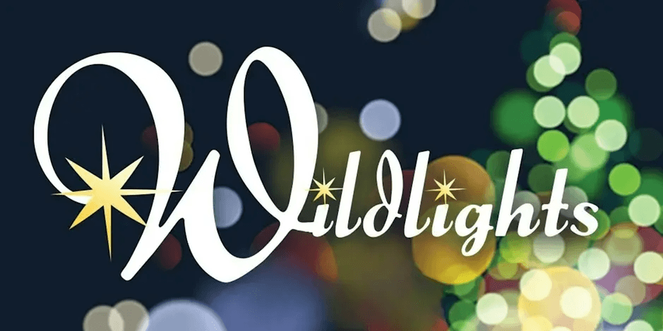 Wildlights at Columbus Zoo and Aquarium image