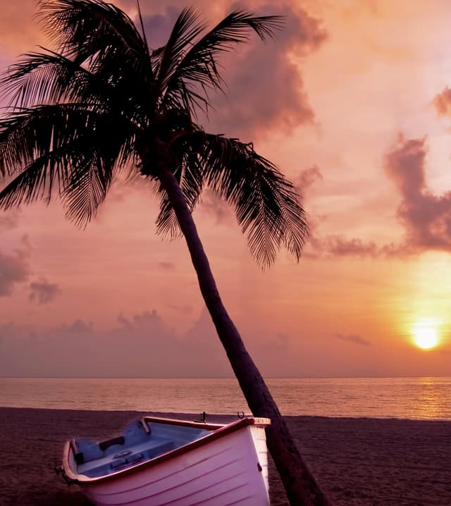 About Christopher Janiak