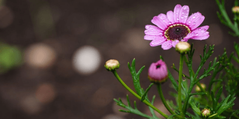 June 2024 Market Update: April showers brought May flowers