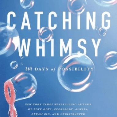 Catching Whimsy image