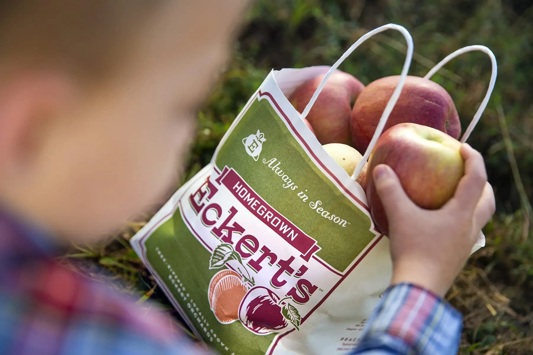 Lexington Fall Family Fun at Eckert’s Orchard image
