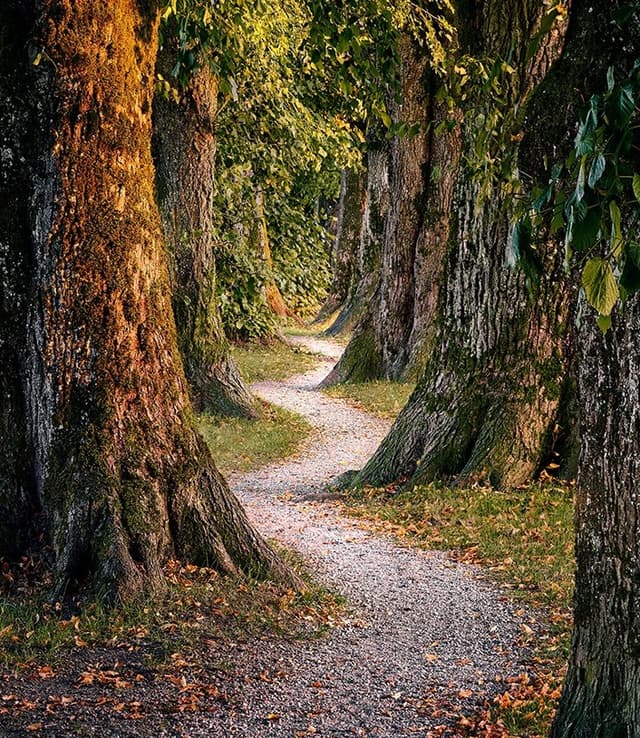 Understanding Where You Are and Where You Want to Go