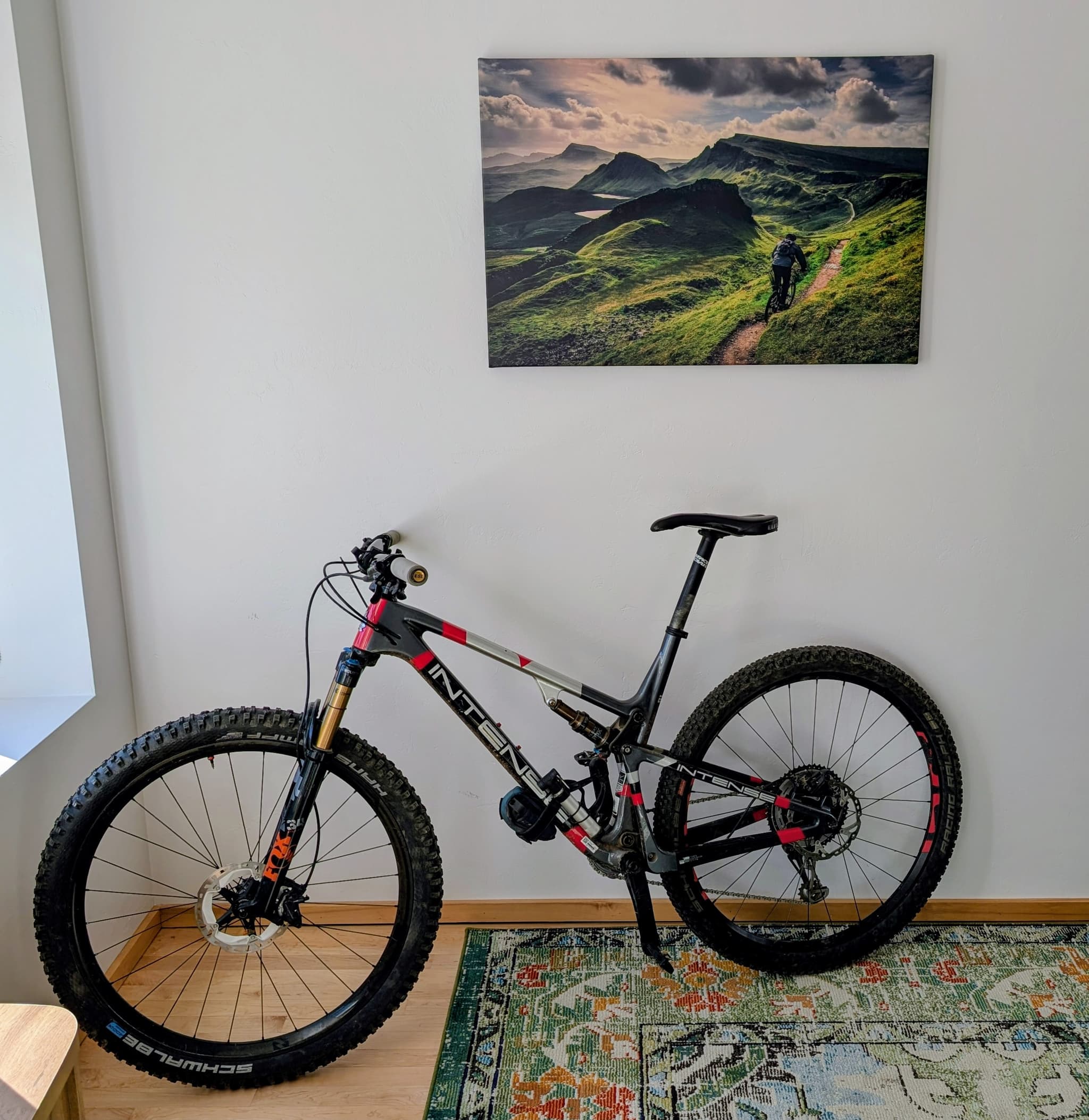 Insight image