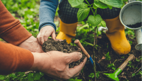 Roth IRA benefits go beyond retirement