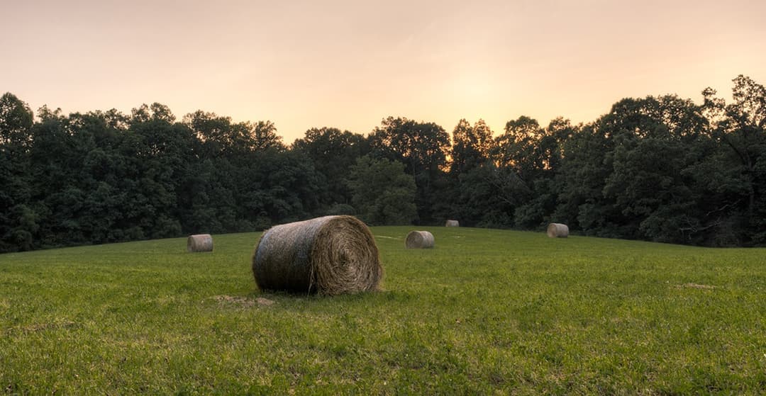 Financial Advice for Entrepreneurs, Farmers, Educators, and Small Businesses