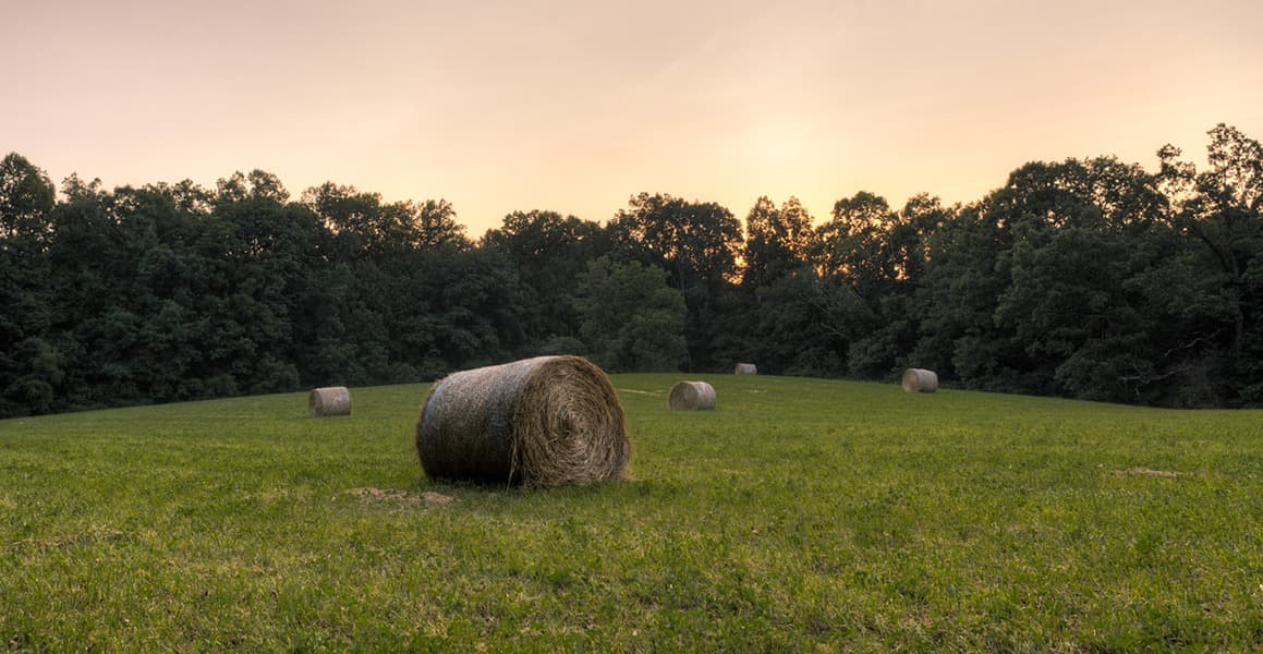 Financial Advice for Entrepreneurs, Farmers, Educators, and Small Businesses