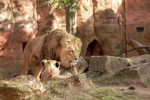 Thrivent Day at Zoo Miami