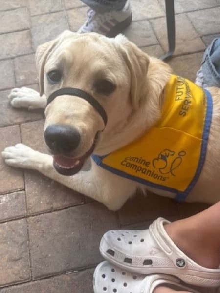 About Christen Krueger