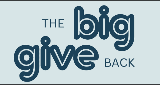 The Big Give Back image