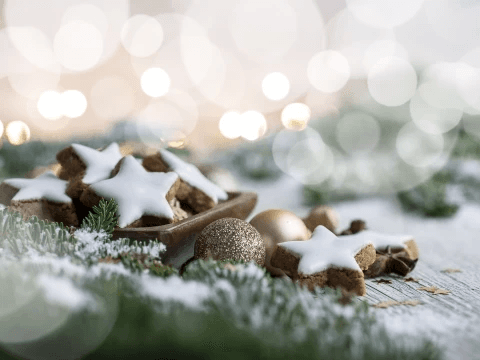 Thrivent Night at the Atlanta Botanical Gardens! image