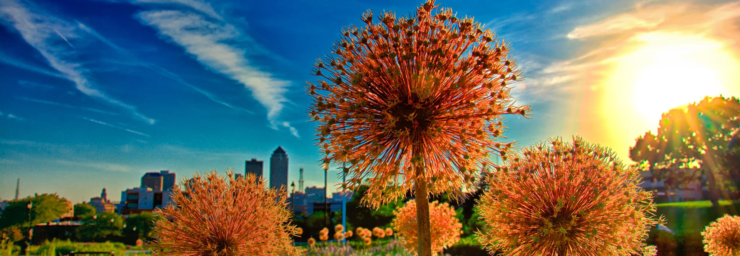 Greater Iowa Region | Thrivent Member Network