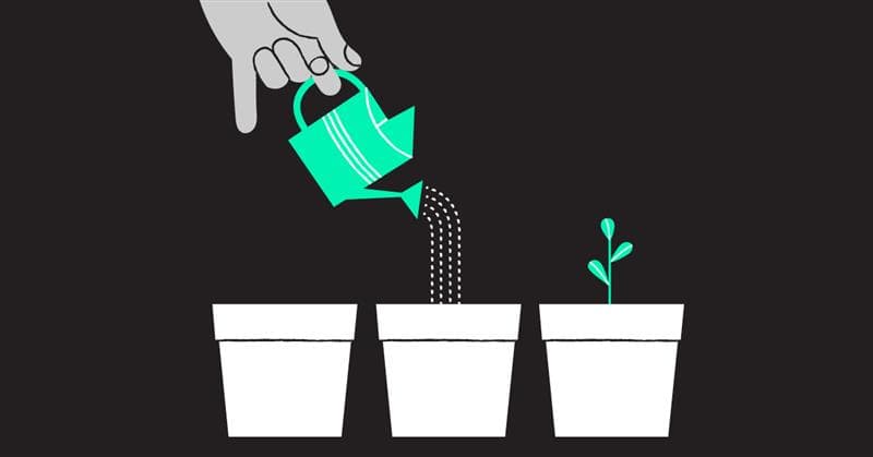 Money Canvas: Discover Your Financial Confidence image