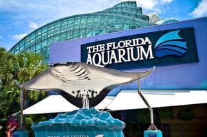 Thrivent Day at the Florida   Aquarium