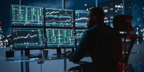 2nd Quarter 2024 Market Review: Goldilocks returns