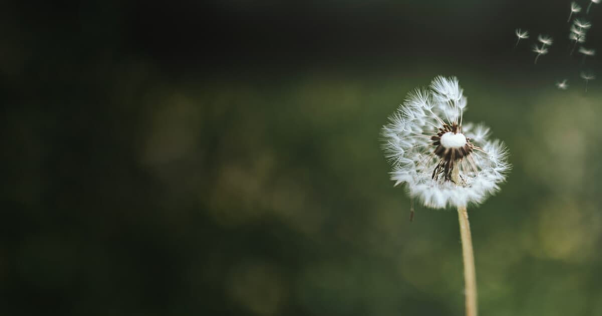 Grief Care Resources
