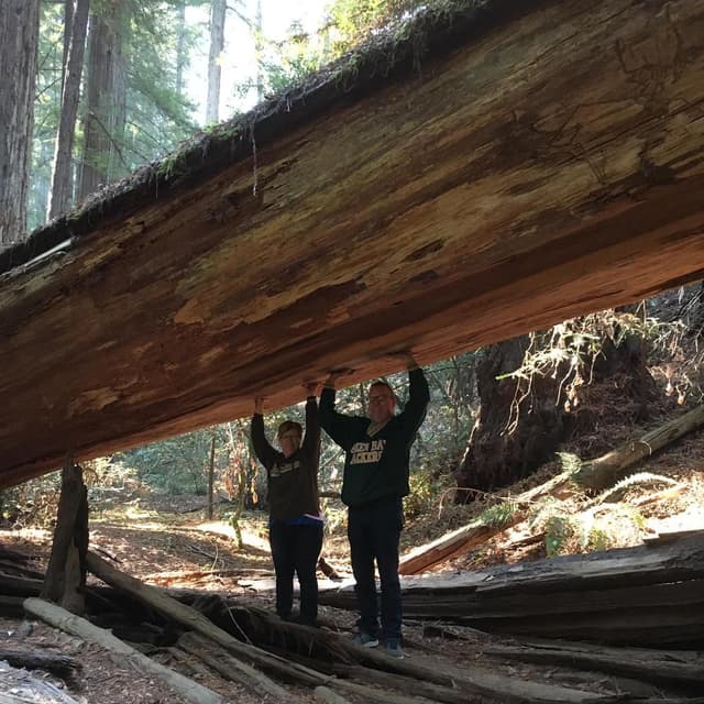 Education & Accomplishments