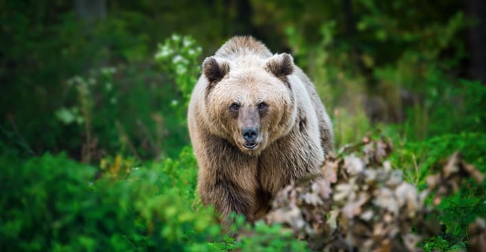 How to Handle a Volatile Market: Timely Advice for Challenging Times