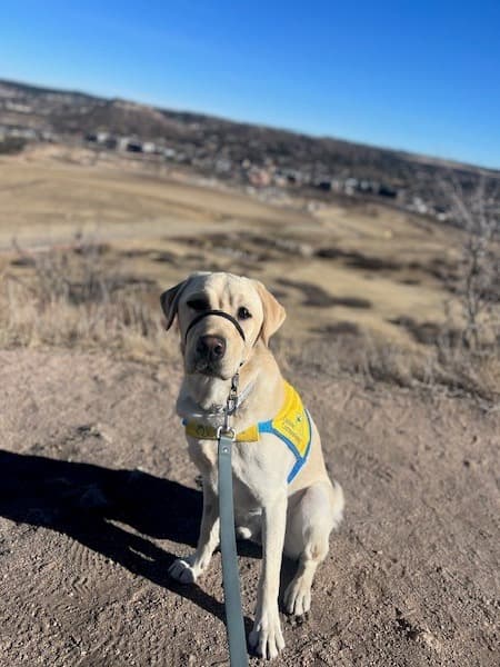 About Christen Krueger