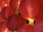 Thrivent Night at the Asian Lantern Festival | Orlando, FL image
