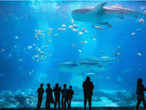 Thrivent Night at the Aquarium | Charleston, SC image