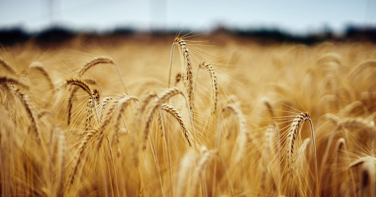October Market and Economic Update presented by Thrivent image