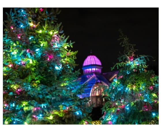 Conservatory Aglow image