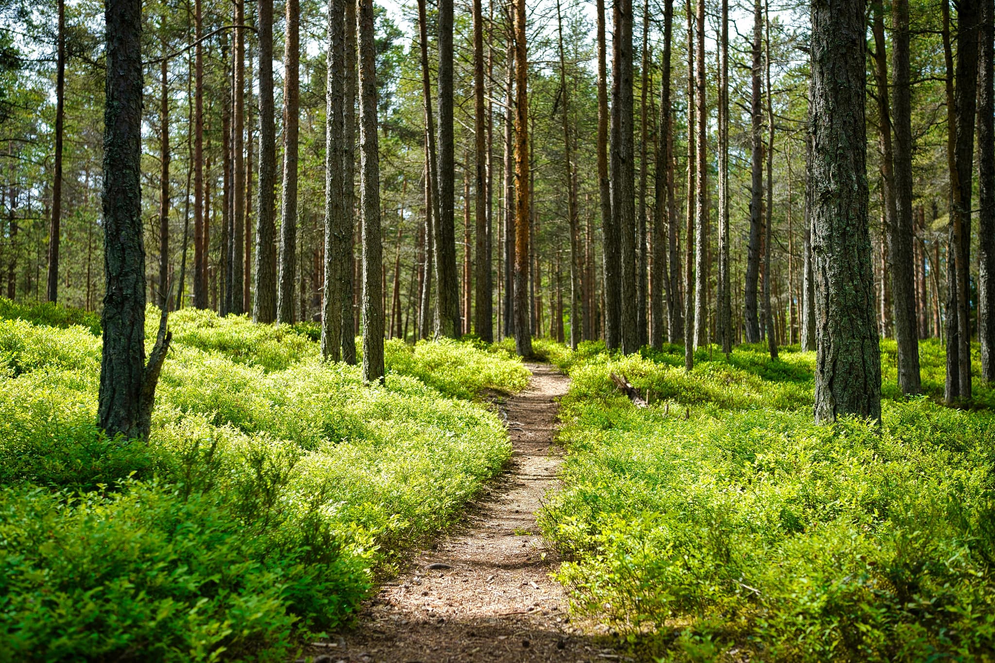 Join Us for a Community Conservation Clean-Up ? image