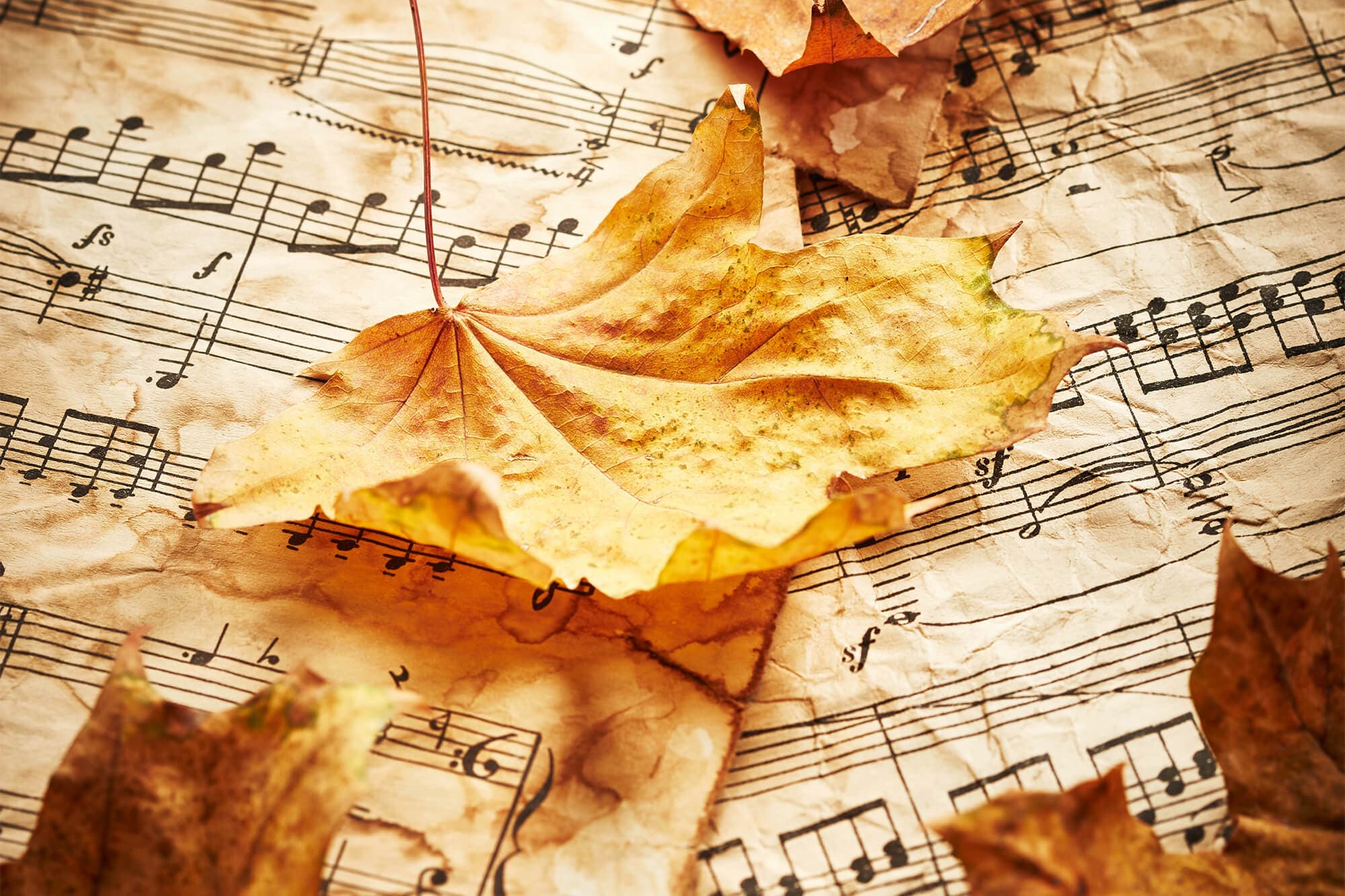 Harvest Home: A Concert of Thanksgiving image
