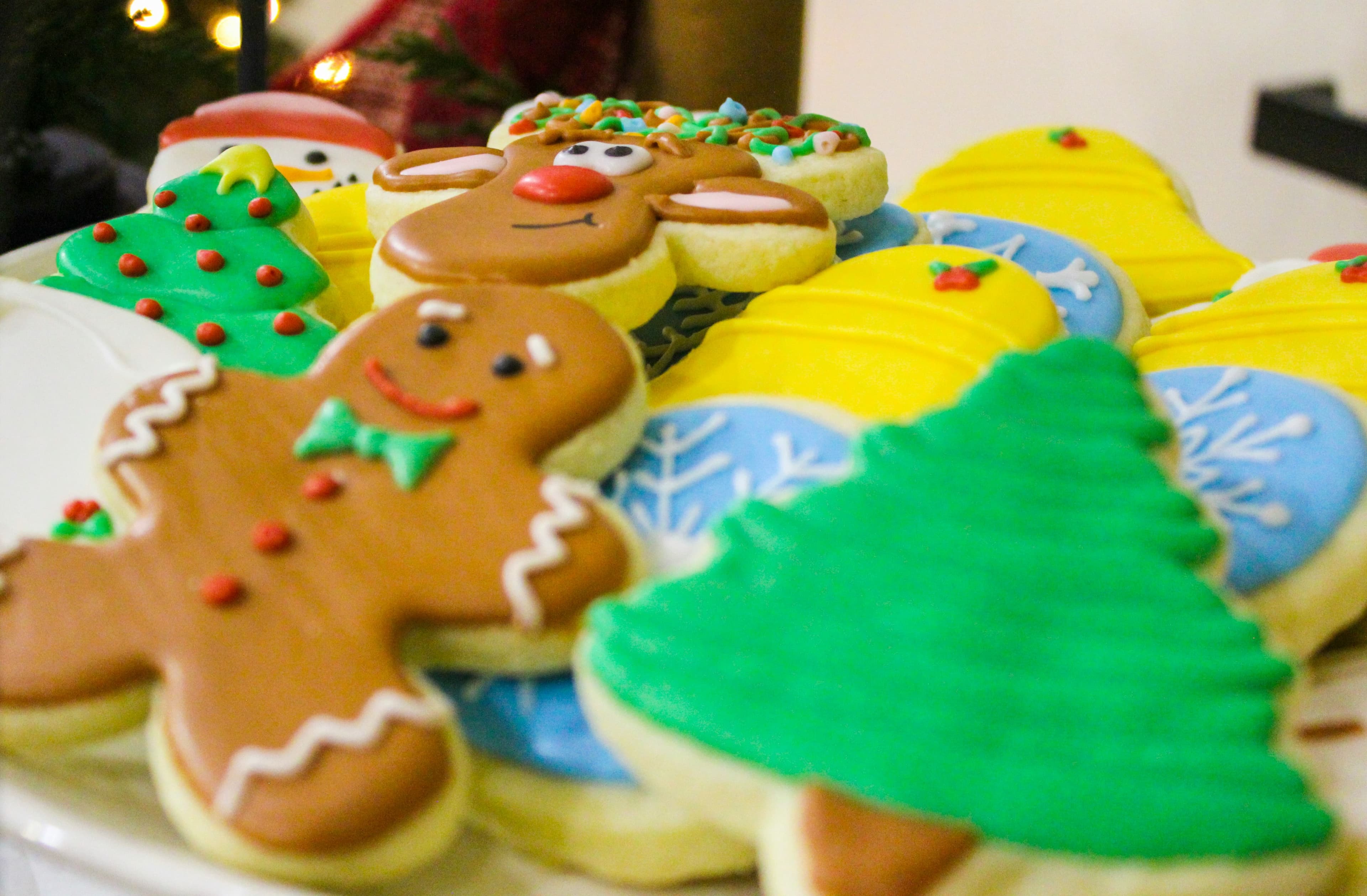 Cedar Rapids Christmas Open House image