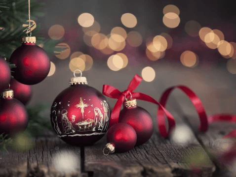 Coral Gables, FL | Thrivent Night at the Fairchild Botanical Garden! image